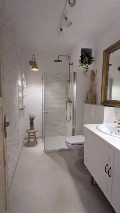 Sobótka Apartament&Spa Lis&Las מראה חיצוני תמונה