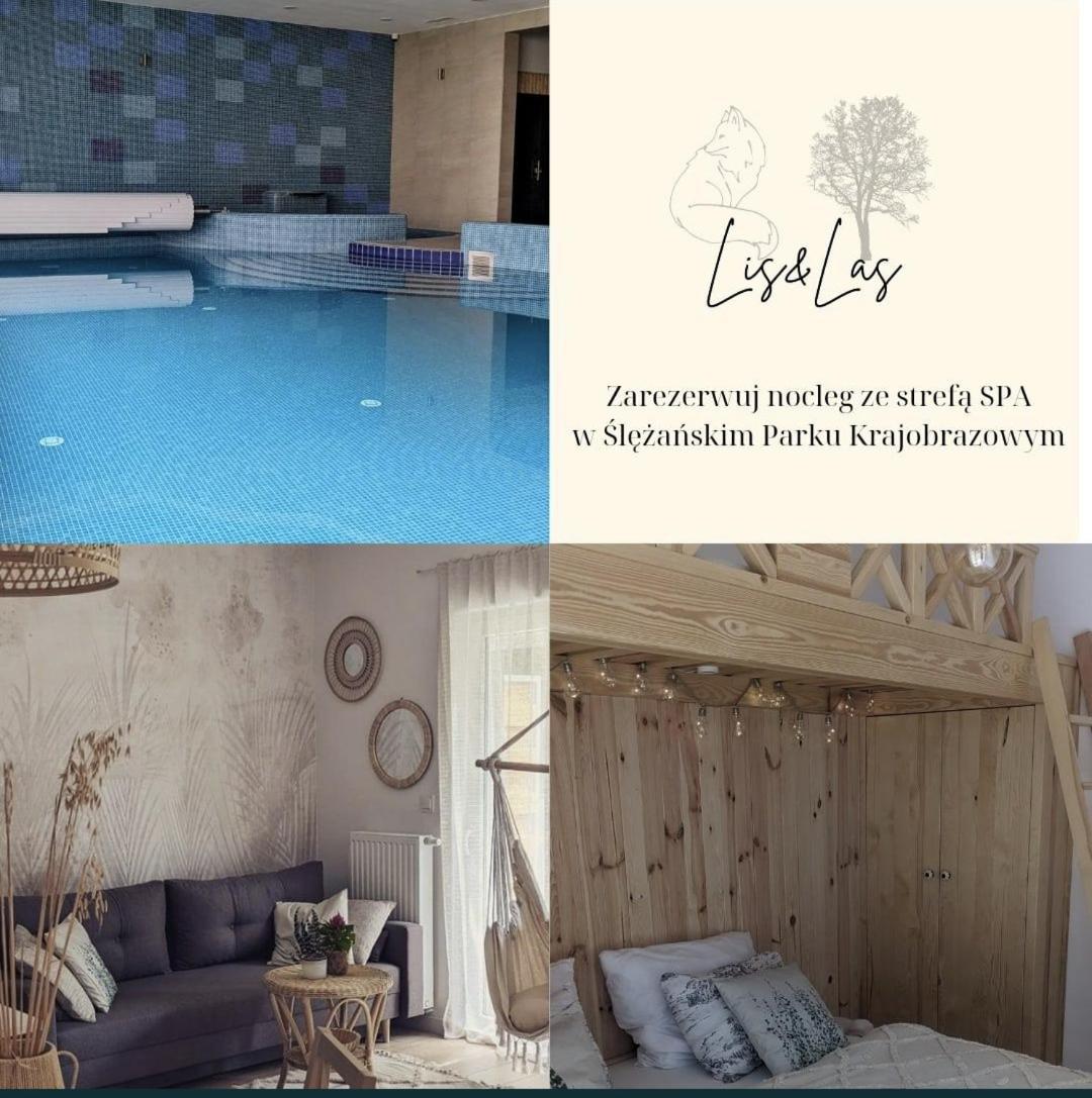 Sobótka Apartament&Spa Lis&Las מראה חיצוני תמונה